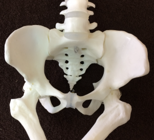 骨盤調整・姿勢調整