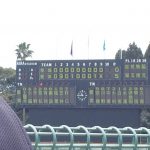 トレーナー活動