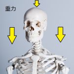肩こりと姿勢