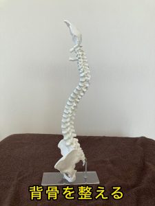 背骨を整えて自律神経を安定へ【姶良/整体/肩こり/腰痛/首痛】