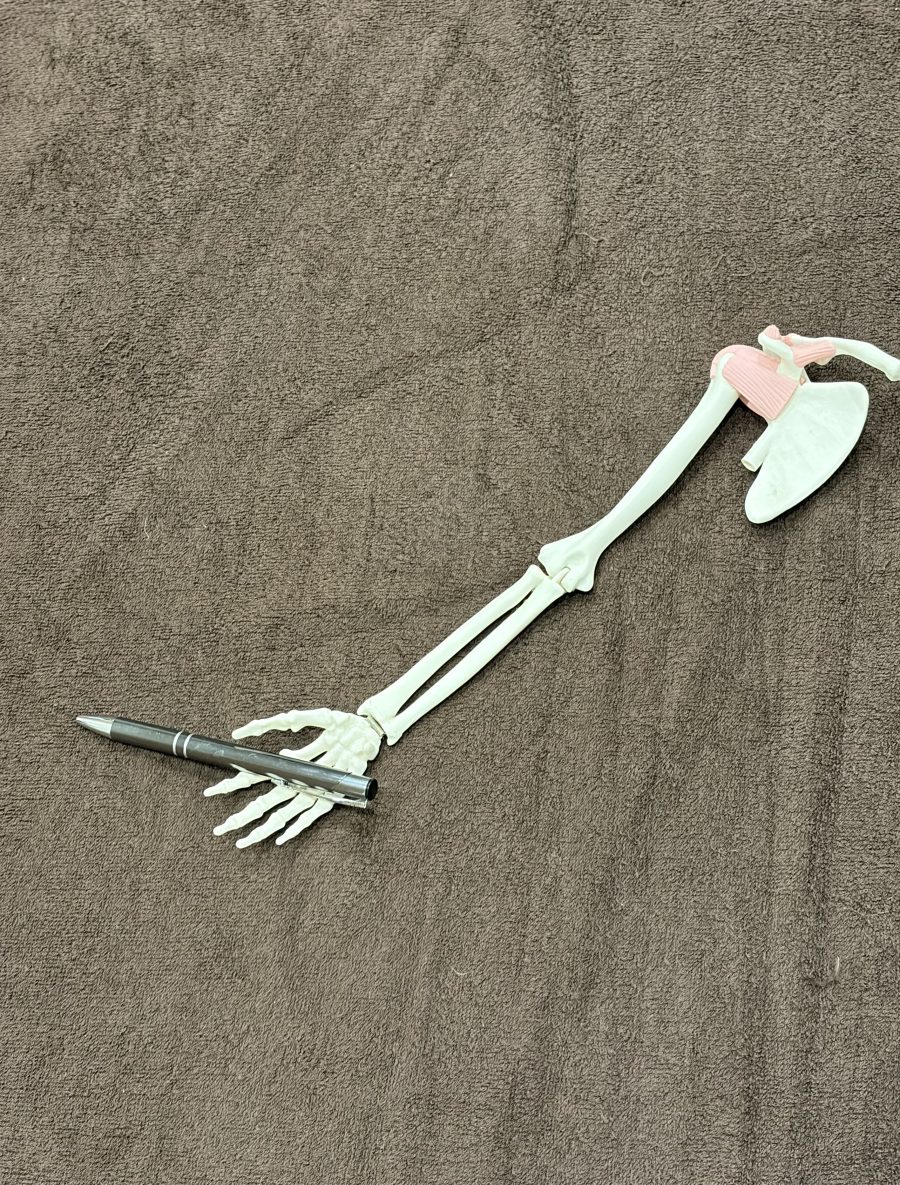 勉強の集中力は姿勢で変わる？体を整えて効率アップ【鹿児島姶良整体】