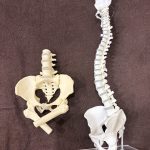 同じ疾患名でも症状が変化する人【姶良/整体/肩こり/腰痛】