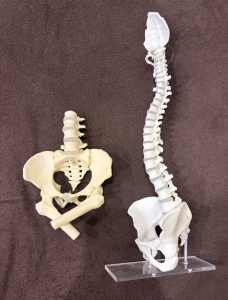 同じ疾患名でも症状が変化する人【姶良/整体/肩こり/腰痛】