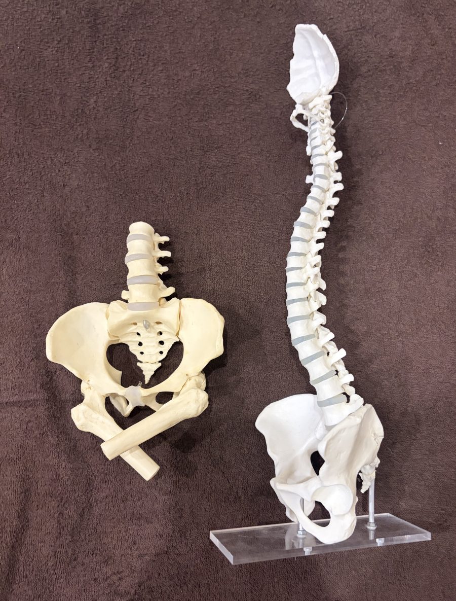 同じ疾患名でも症状が変化する人【姶良/整体/肩こり/腰痛】