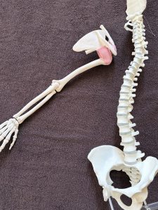 朝スッキリ起きれない方へ整体で睡眠の質を改善【姶良市/不眠】