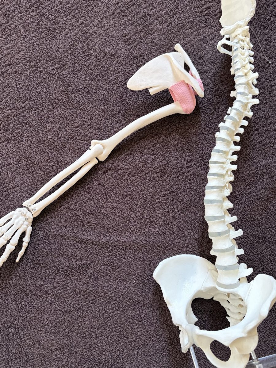 朝スッキリ起きれない方へ整体で睡眠の質を改善【姶良市/不眠】